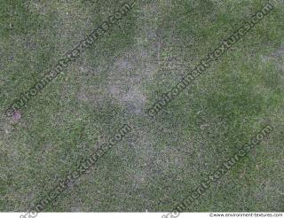 Photo Textures of Ground Grass